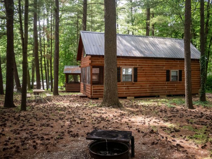 Hilltop Deluxe Cabin Fire Pit
