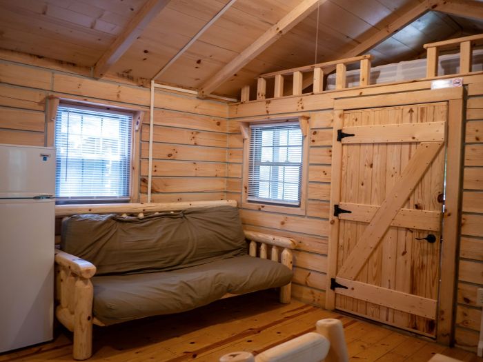 Hill Top Cabin Futon and Loft